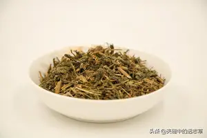 讲一味小小的绞股蓝，有6大功效，送给脾肺气虚的你