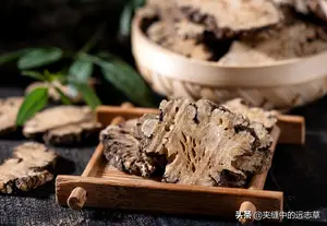 讲一味小小的绞股蓝，有6大功效，送给脾肺气虚的你
