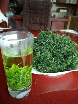 绞股蓝的功效与作用！喝它对人体有这些好处？