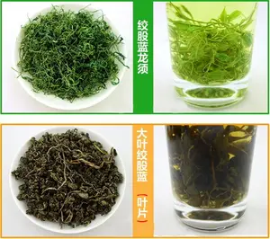 绞股蓝的功效与作用！喝它对人体有这些好处？