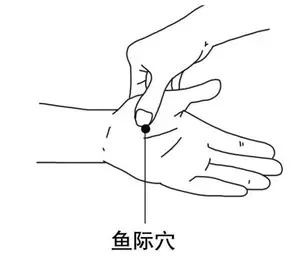 人体有个“止咳开关”！没事按一按，咳嗽好得快，祛痰也特管用