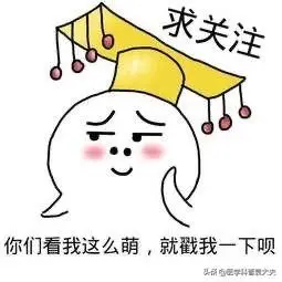 治疗泌尿系统感染用三金片或复方石韦片，能与抗生素一起服用吗