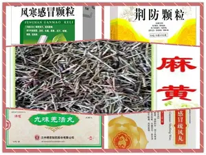 除了风寒感冒，感冒清热颗粒还能治疗哪种感冒？
