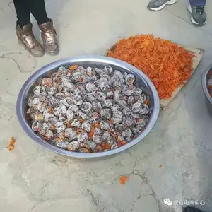 推介｜你知道吗？成县柿饼的六种吃法~