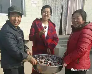 推介｜你知道吗？成县柿饼的六种吃法~