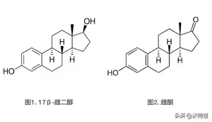 男性、女性都重要的雌激素 Xevo TQ-XS IVD测定血清中的17β-雌二醇