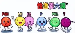 雌激素过低/过高都不健康！如何把雌激素&quot;终结&quot;在开始？