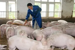 「问答」硫酸镁的主要作用是？