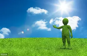 左氧氟沙星，有的厂家说1日1次，有的说1日2次，如何给药才正确？