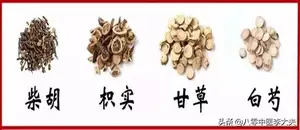 肝气郁结，百病生？四逆散，疏肝解郁，气机畅通，加减变化百病消