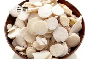 《汤头歌诀》和解剂之「四逆散」