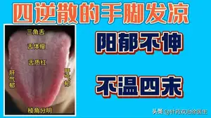 四逆散的手脚发凉，舌象及用药