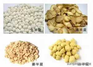 仲景护嗓名方，三味药温阳化痰，轻松搞定咽炎、喉炎、扁桃体炎