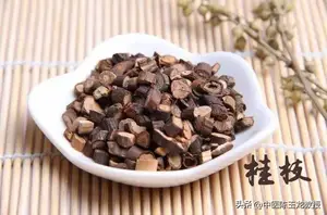 仲景护嗓名方，三味药温阳化痰，轻松搞定咽炎、喉炎、扁桃体炎