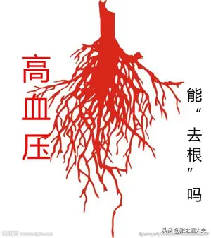 高血压，可以“去根”治好吗？医生一说，全清楚了