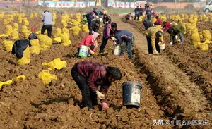 张锡纯医案：地黄分三种，三种各不同