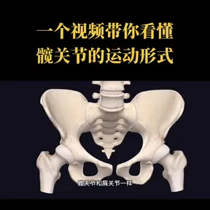 一个视频带你看懂髋关节的运动形式#髋关节