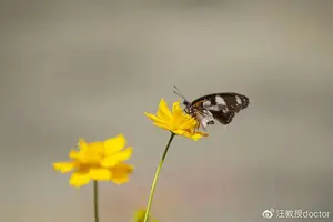 「汪教授分享」她成天嘻嘻哈哈，怎么可能得抑郁症？