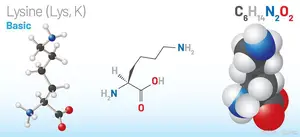 赖氨酸的作用与功效，要额外补充吗？只要膳食均衡就不需要