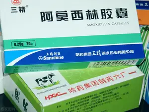 同样是抗生素，阿莫西林和头孢有什么区别？医生：关键是别用错了