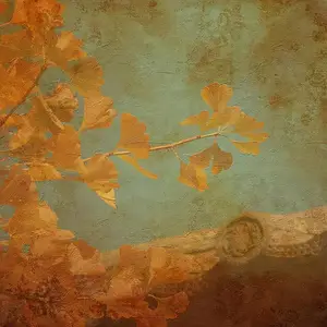 为什么说银杏叶是一味神药？看完它的强大功效，震撼了