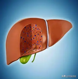 气顺，百病消！一个中成药，疏肝解郁行气的典范，肝脾气血兼顾