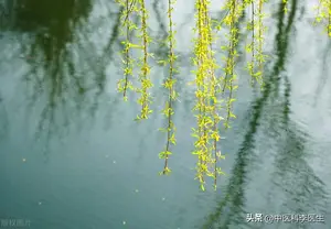 春季疏肝解郁，逍遥丸、越鞠丸、解郁丸、柴胡舒肝丸怎么选？