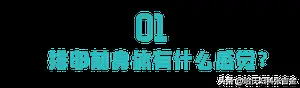 身体出现这6种感觉，可能是要排卵了！