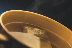大黑蚂蚁介绍及功效:你知道多少
