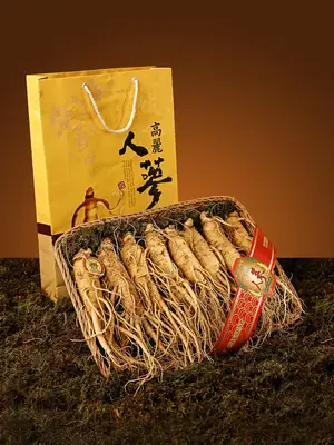 养生知识100条(养生知识100条问答题)