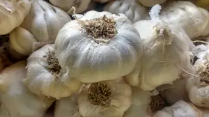 缺铁性贫血？这些水果可以帮你补铁！