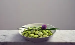 春季养生必吃十种食物(春季养生必吃十种食物鸭子)
