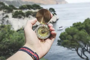 品味海洋之王，畅享金樽口感！