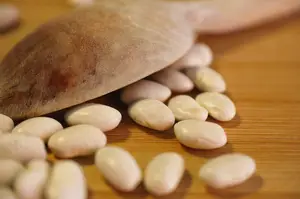 乳腺疾病有什么症状的呢？ 乳腺病都有什么症状？