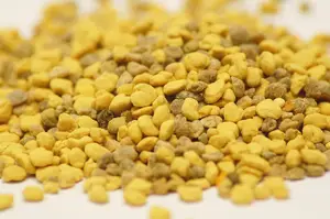 虫草的功效与作用及食用方法(冬虫草功效与作用及食用方法)