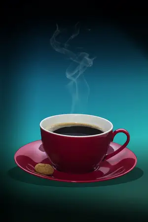陈皮泡水喝的十大功效(陈皮的功效 陈皮泡水喝的十大功效)