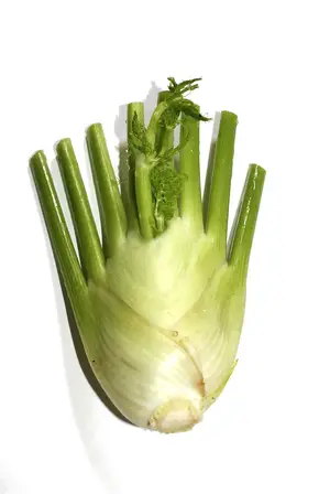 味蕾盛宴:尝遍世界美食只为品味米斛独特魅力 味蕾盛宴:尝遍世界美食只为品味米斛独特魅力