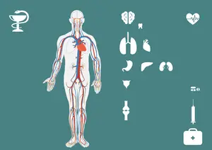 有效预防食物中毒:您需要知道这些重要信息