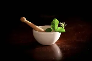 苦楝皮治疥疮:健康好助手实用秘诀分享 苦楝皮治疥疮:健康好助手实用秘诀分享