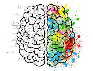 从生物学角度讲，生双胞胎是怎么回事？ 卵细胞分裂成双胞胎的过程？