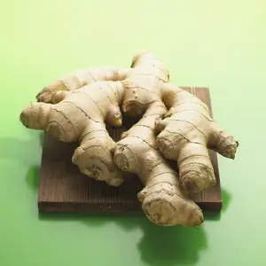 生姜怎么治脱发？ 生姜怎么治疗脱发？