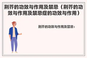 荆芥的功效与作用及禁忌（荆芥的功效与作用及禁忌症的功效与作用）