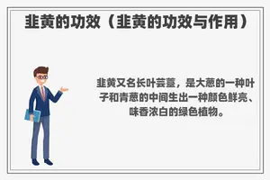 韭黄的功效（韭黄的功效与作用）