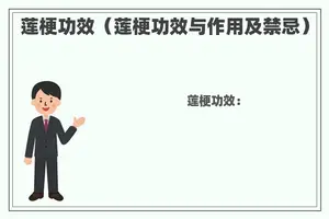 莲梗功效（莲梗功效与作用及禁忌）