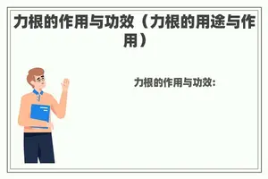 力根的作用与功效（力根的用途与作用）