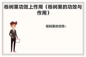 栎树果功效上作用（栎树果的功效与作用）