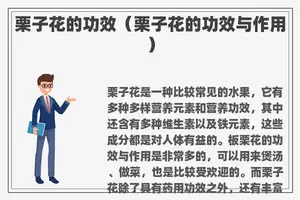栗子花的功效（栗子花的功效与作用）