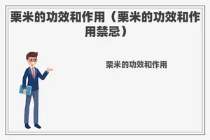 栗米的功效和作用（栗米的功效和作用禁忌）