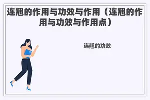 连翘的作用与功效与作用（连翘的作用与功效与作用点）
