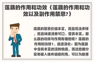 莲藕的作用和功效（莲藕的作用和功效以及副作用禁忌?）